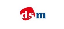 DSM DAESAN Hydraulische Meißel